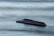 Overcast sunset and driftwood